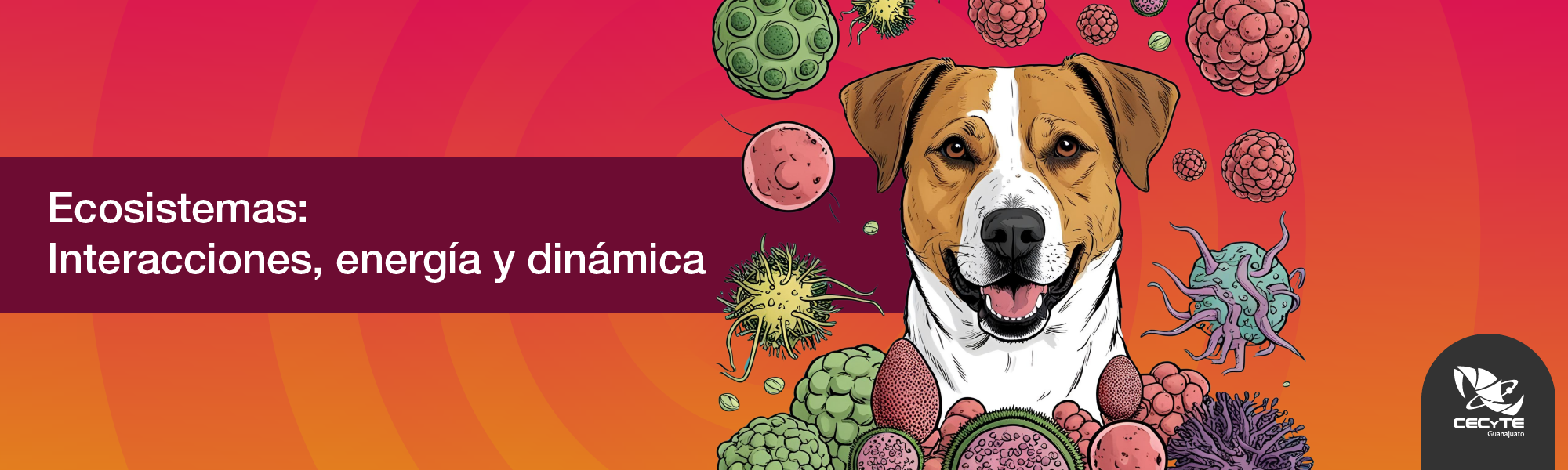 ECOSISTEMAS: