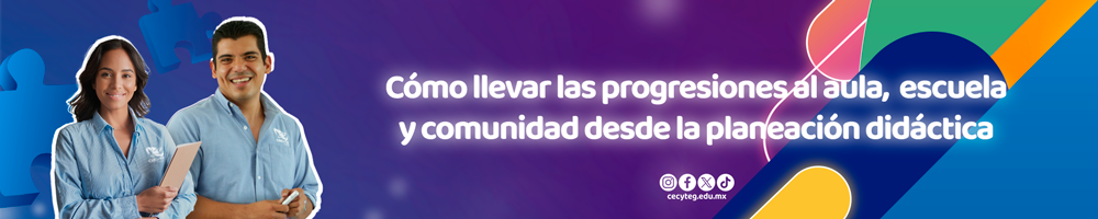 IMPLEMENTACIÓN